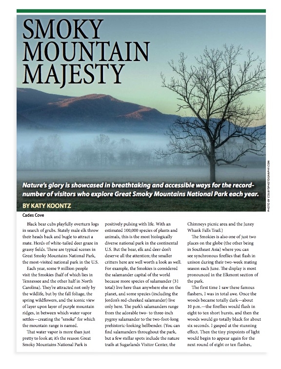 Smoky Mountain Majesty