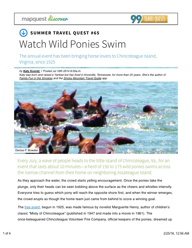 Watch Wild Ponies Swim